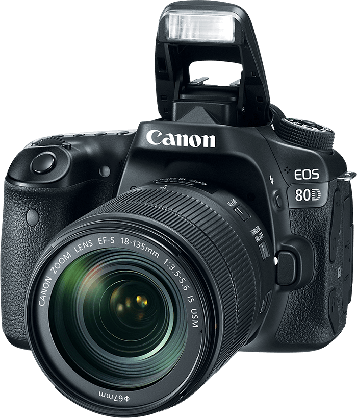 Canon Powershot SX50 HS